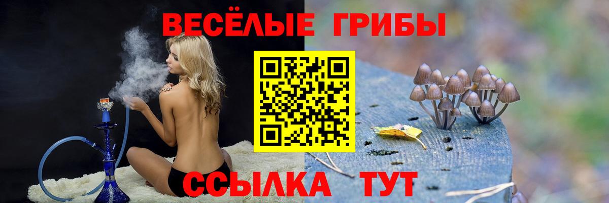 Псилоцибиновые грибы мицелий  закладки  Солнечногорск 